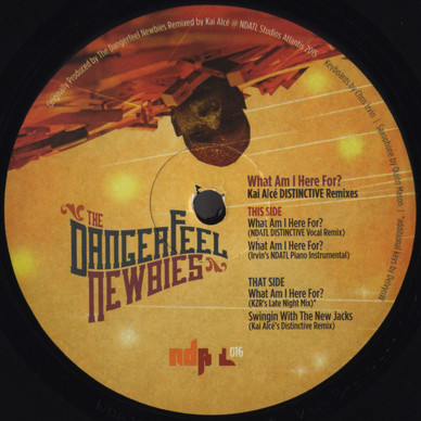 The Dangerfeel Newbies - What Am I Here For? (Kai Alcé DISTINCTIVE Remixes) VG+