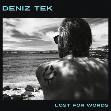 Deniz Tek - Lost For Words M