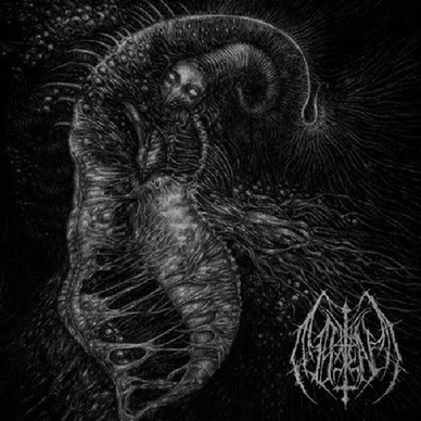 Ill Omen - Divinity Through Un-Creation VG+
