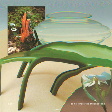 Dolly  - Don't Forget the Moonscreen VG+