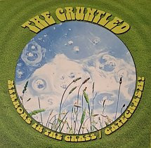 The Gruntled - Mirrors In The Grass M