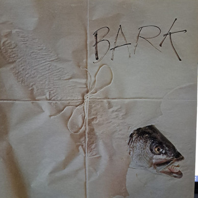 Jefferson Airplane - Bark VG+