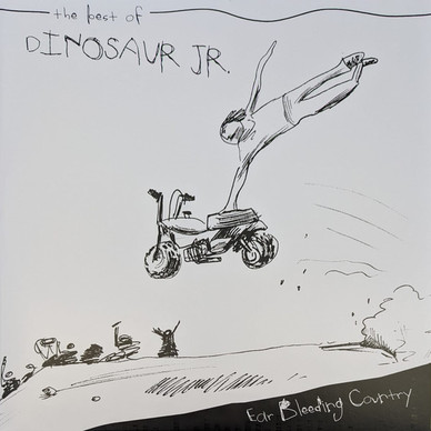 Dinosaur Jr. - Ear-Bleeding Country: The Best Of Dinosaur Jr. VG+