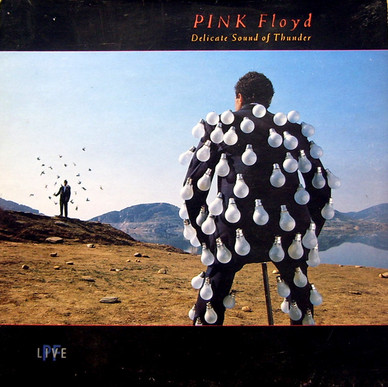 Pink Floyd - Delicate Sound Of Thunder VG