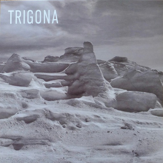 Trigona - Trigona