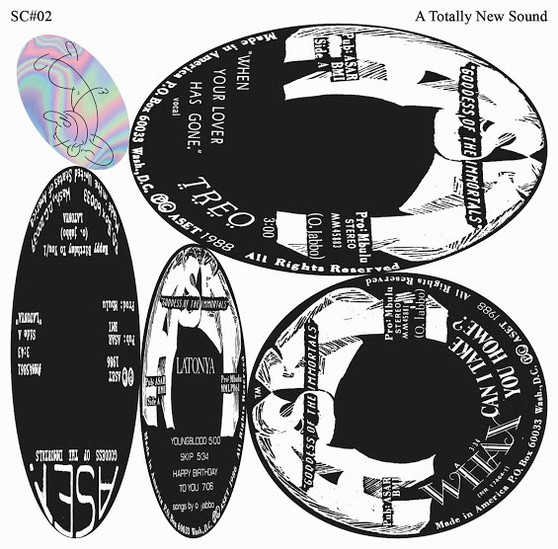 Various - A Totally New Sound NM or M- Various - A Totally New Sound NM or M-