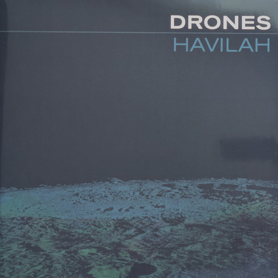 Drones* - Havilah M