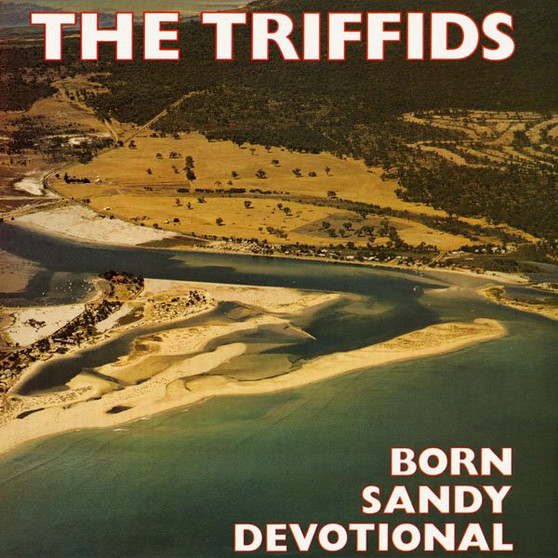 The Triffids - Born Sandy Devotional NM or M-