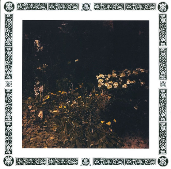 Sarah Davachi - Pale Bloom M