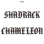 Shadrack (2) - Shadrack Chameleon
