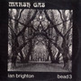 Ian Brighton - Marsh Gas