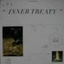 Sun Araw - The Inner Treaty