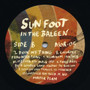 Sun Foot - In the Baleen