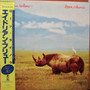 Adrian Belew - Lone Rhino