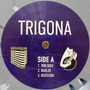 Trigona - Trigona