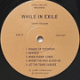 Terry Telson - While In Exile VG+