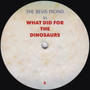 The Bevis Frond - What Did For The Dinosaurs M