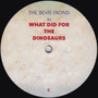The Bevis Frond - What Did For The Dinosaurs M