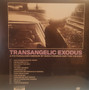 Ezra Furman - Transangelic Exodus VG+