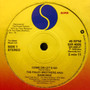 The Paley Brothers* And Ramones - Come On Let's Go (Remixed) VG+