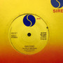 The Paley Brothers* And Ramones - Come On Let's Go (Remixed) VG+