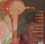 The Flaming Lips - Fight Test M