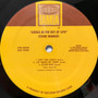 Stevie Wonder - Songs In The Key Of Life NM or M-