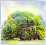 Yo La Tengo - Fade NM or M-