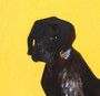 Oscar Lush - Black Dog VG+