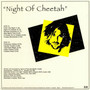 Mystic Jungle - Night Of Cheetah NM or M-