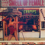 The Cramps - Smell Of Female NM or M-