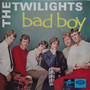 The Twilights  - Bad Boy VG