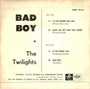 The Twilights  - Bad Boy VG