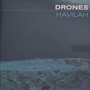 Drones* - Havilah M