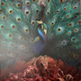 Opeth - Sorceress NM or M-