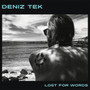Deniz Tek - Lost For Words M