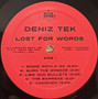 Deniz Tek - Lost For Words M