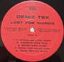 Deniz Tek - Lost For Words M