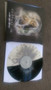 Confession  - Life and Death NM or M-