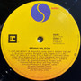 Brian Wilson - Brian Wilson VG+