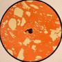 Brennan Green - My First House VG+