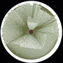 Clyde Corley / Kyle Parker  - SR001 VG+