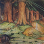 Madder Lake - Butterfly Farm VG+