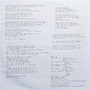 Magnolia Electric Co* - What Comes After The Blues M