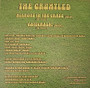 The Gruntled - Mirrors In The Grass M