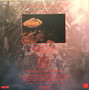 Not Drowning, Waving - Cold And The Crackle VG+