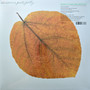 Pete Jolly - Seasons M