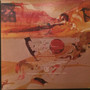 The Doors - Weird Scenes Inside The Gold Mine VG+