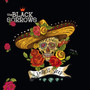 The Black Sorrows - Endless Sleep (Chapter 46) VG+