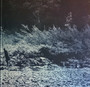 Foals - What Went Down NM or M-